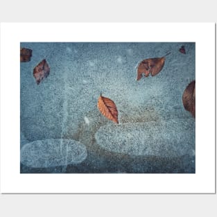 fallen leaves frozen in a puddle Posters and Art